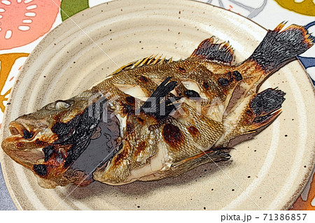 家庭的で素朴な自宅調理の たもりの塩焼き 色鉛筆画風のイラスト素材