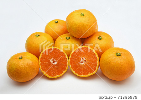 みかん（ゆら早生） 71386979