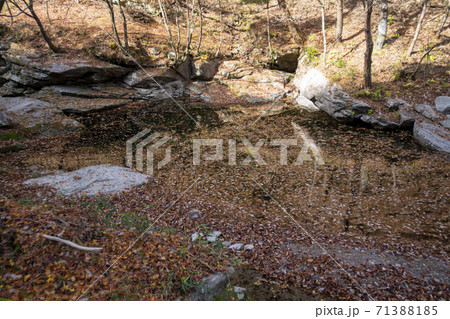 ガンチョンサン 淳昌郡 秋 71388185