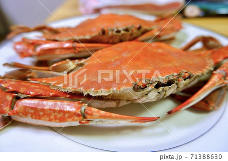 蟹 71388630