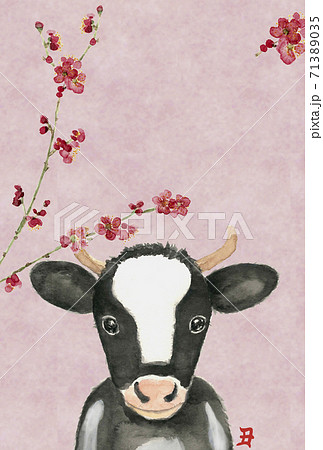手描き水彩の2021年丑年のかわいい年賀状 - 複数のバリエーションがあります 梅 文字なし 手描き水彩の2021年丑年のかわいい年賀状 - 複数のバリエーションがあります 梅 文字なし 71389035