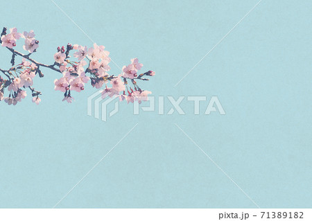 桜　水彩画　春の訪れ〜さくら〜 桜 水彩画 春の訪れ〜さくら〜 桜 枝 春の訪れ 水彩画風の