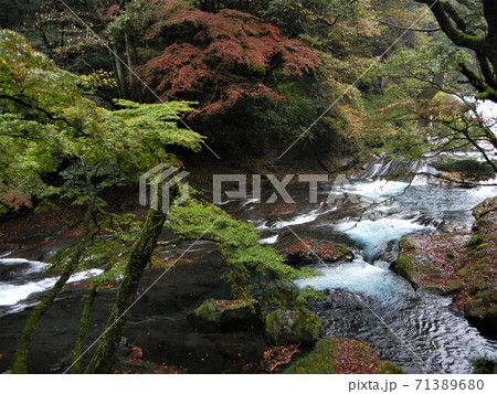 日本の川景色:熊本県の菊地渓谷の菊地川と紅葉 日本の川景色:熊本県の菊地渓谷の菊地川と紅葉 71389680