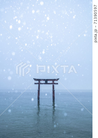 滋賀県 白髭神社・白鬚神社 雪景色 71390597