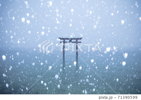 滋賀県 白髭神社・白鬚神社 雪景色 滋賀県 白髭神社・白鬚神社 雪景色 71390599