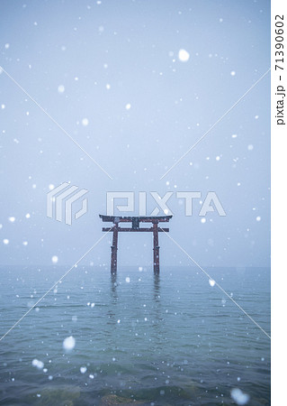 滋賀県 白髭神社・白鬚神社 雪景色 滋賀県 白髭神社・白鬚神社 雪景色 71390602
