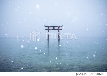 滋賀県 白髭神社・白鬚神社 雪景色 71390603