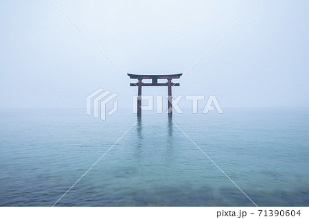 滋賀県 白髭神社・白鬚神社 雪景色 滋賀県 白髭神社・白鬚神社 雪景色 71390604