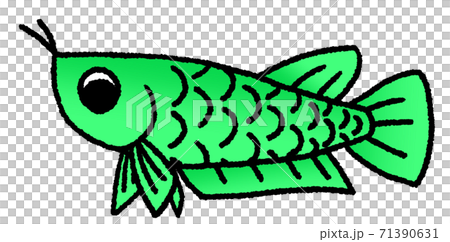 Arowana with eyes facing down (turquoise) Arowana with eyes facing down (turquoise) 71390631