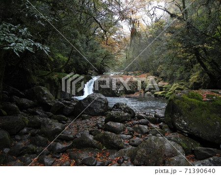 日本の川景色:熊本県の菊地渓谷の菊地川と紅葉 日本の川景色:熊本県の菊地渓谷の菊地川と紅葉 71390640