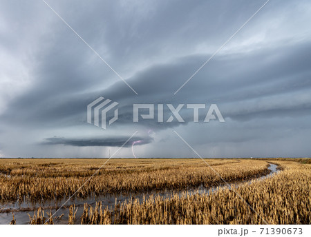 Lightning over the flooded rice fields, Valencia 71390673