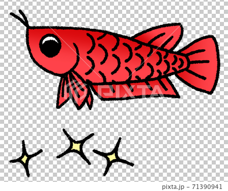 Arowana (red) looking down with anxiety about glitter Arowana (red) looking down with anxiety about glitter 71390941