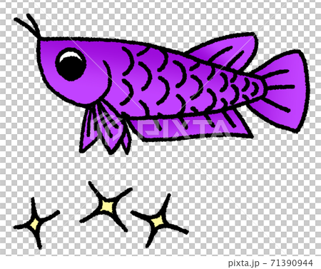 龍魚(紫色)低頭對閃光的焦慮 龍魚(紫色)低頭對閃光的焦慮 71390944