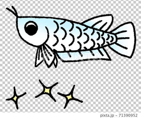 龍魚低頭擔心閃光(白色到藍色) 龍魚低頭擔心閃光(白色到藍色) 71390952