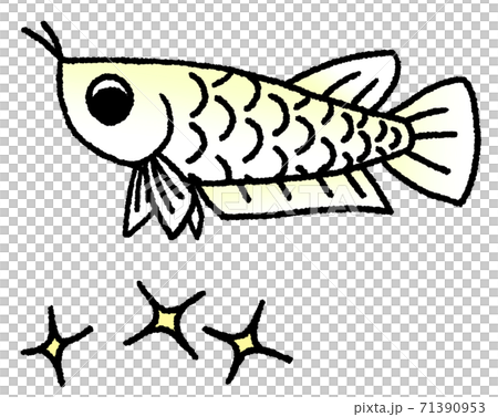 龍魚低頭擔心閃光（白色襯底上的黃色） 71390953