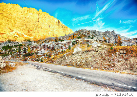 Autumn landscape with larches  in Dolomite Alps and fantastic  Falzarego pass at sunset 71391416