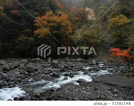 日本の川景色 九州大分県にある九酔渓の鳴子川と紅葉の写真素材