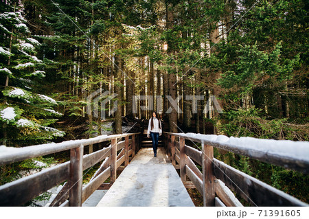 woman walk in winter forest woman walk in winter forest 71391605