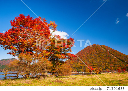 【群馬県】紅葉の榛名湖・榛名富士〈上毛三山〉 71391683