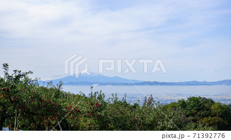 リンゴ園と鳥海山 秋田県 リンゴ園と鳥海山 秋田県 71392776
