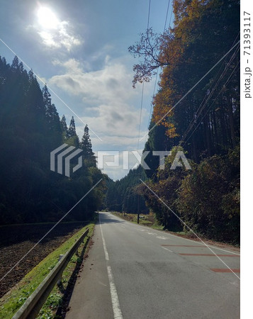 阿蘇の道なり風景2 71393117