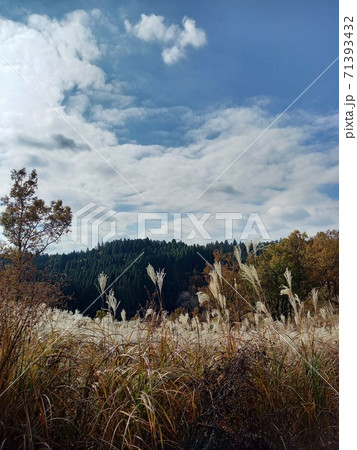 阿蘇満願寺の風景7 71393432