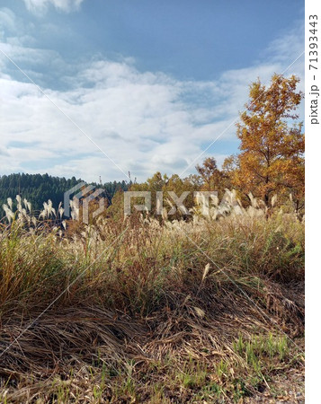 阿蘇満願寺の風景12 71393443