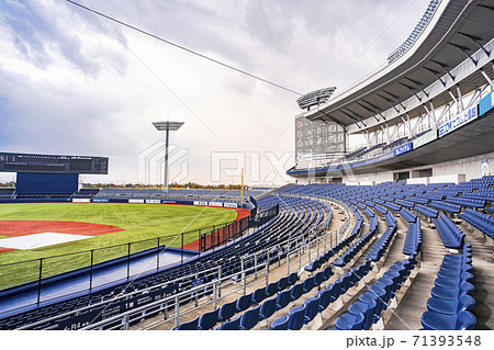 野球場の内野スタンド (ECOスタジアム新潟) 野球場の内野スタンド (ECOスタジアム新潟) 71393548