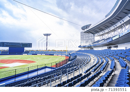 野球場の内野スタンド (ECOスタジアム新潟) 野球場の内野スタンド (ECOスタジアム新潟) 71393551
