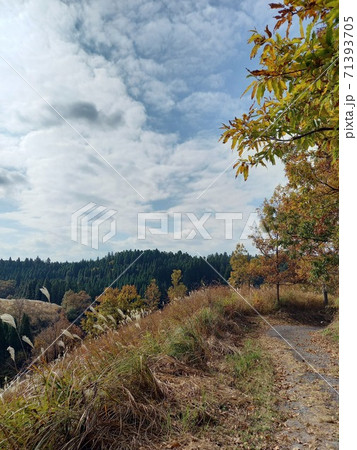 阿蘇満願寺の風景14 71393705