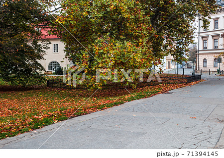 Autumn morning on the Prague island of Kampa Autumn morning on the Prague island of Kampa 71394145