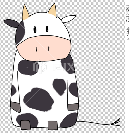 正面を向いた座っているウシ　　【ホルスタイン】 71394262