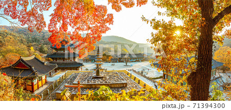 紅葉 スポット 風景 71394300