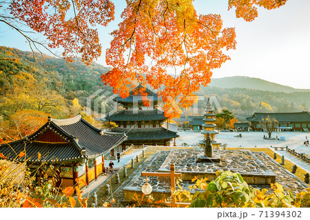 紅葉 スポット 景色 71394302