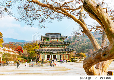 紅葉 スポット 風景 71394306