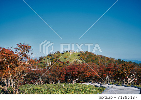 奈良県大台ヶ原　正木峠から見える日出ヶ岳 71395137