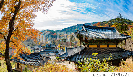 紅葉 寺院 社員 71395225