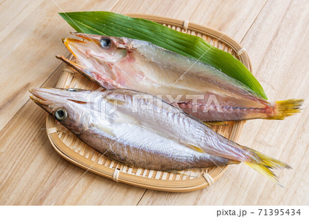 カマスの干物 カマスの干物 71395434