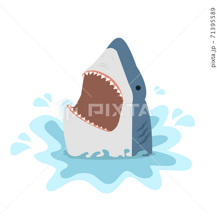 Big White shark with open jaws vector Big White shark with open jaws vector 71395589