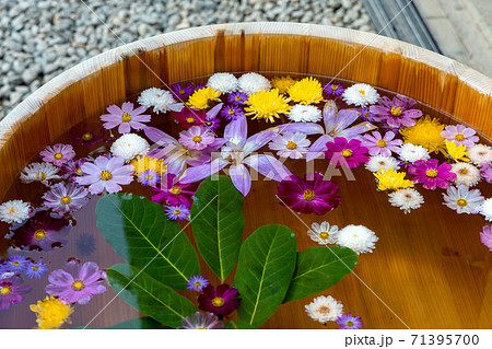 水に浮かぶ花々で占う山寺立石寺の花占いの写真素材