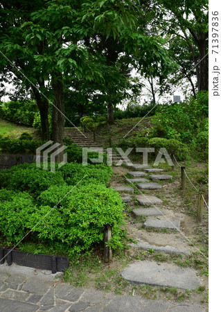勝竜寺城013 勝竜寺城013 71397836