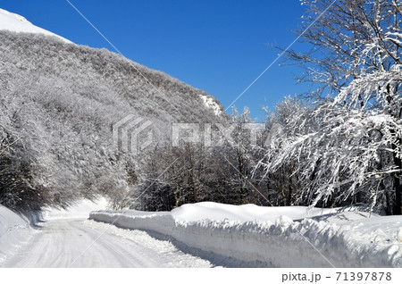 Wintry road 71397878