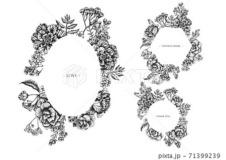 Floral frames with black and white wax flower, forget me not flower, tansy, ardisia, brassica Floral frames with black and white wax flower, forget me not flower, tansy, ardisia, brassica 71399239