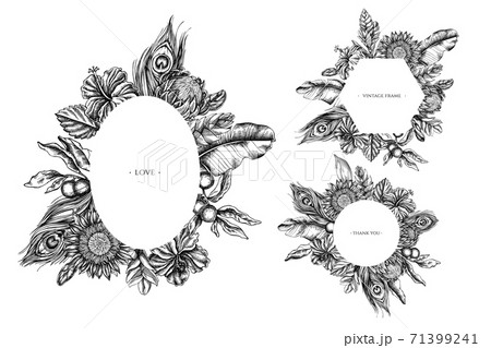 Floral frames with black and white banana palm leaves, hibiscus, solanum, bromeliad, peacock Floral frames with black and white banana palm leaves, hibiscus, solanum, bromeliad, peacock 71399241