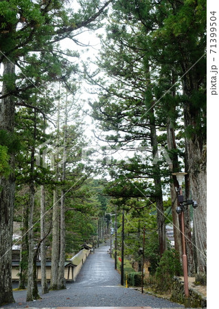 Japan Trip  71399504