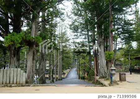 Japan Trip Japan Trip 71399506