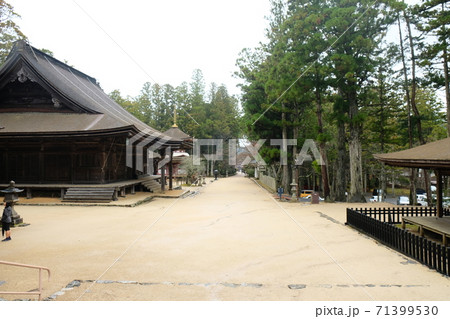 Japan Trip  71399530