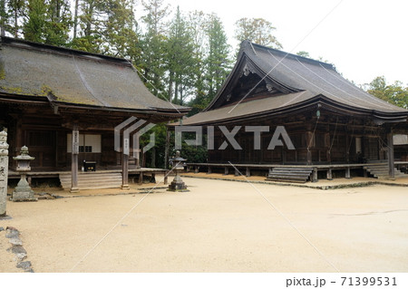 Japan Trip  71399531