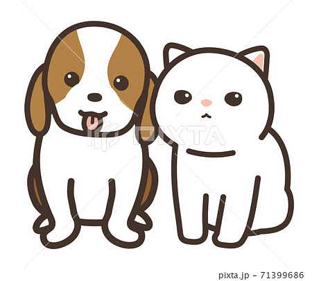 仲良しの犬と猫 カメラ目線 背景白のイラスト素材