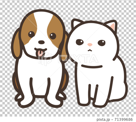 仲良しの犬と猫 カメラ目線 背景白のイラスト素材